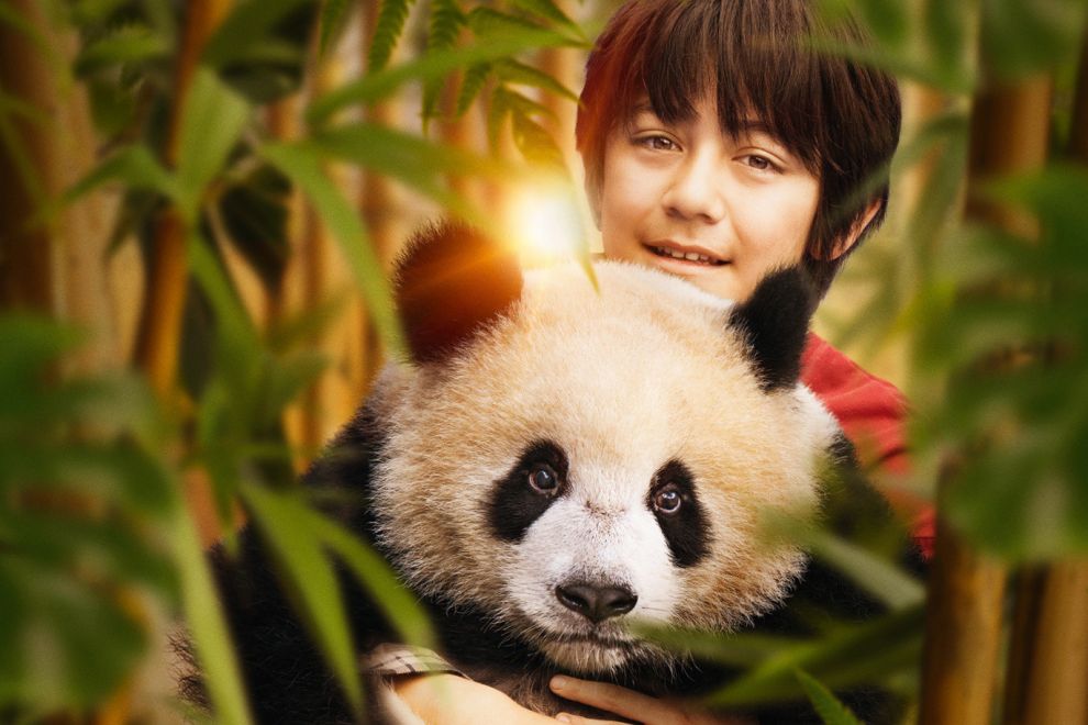 Moon le panda 